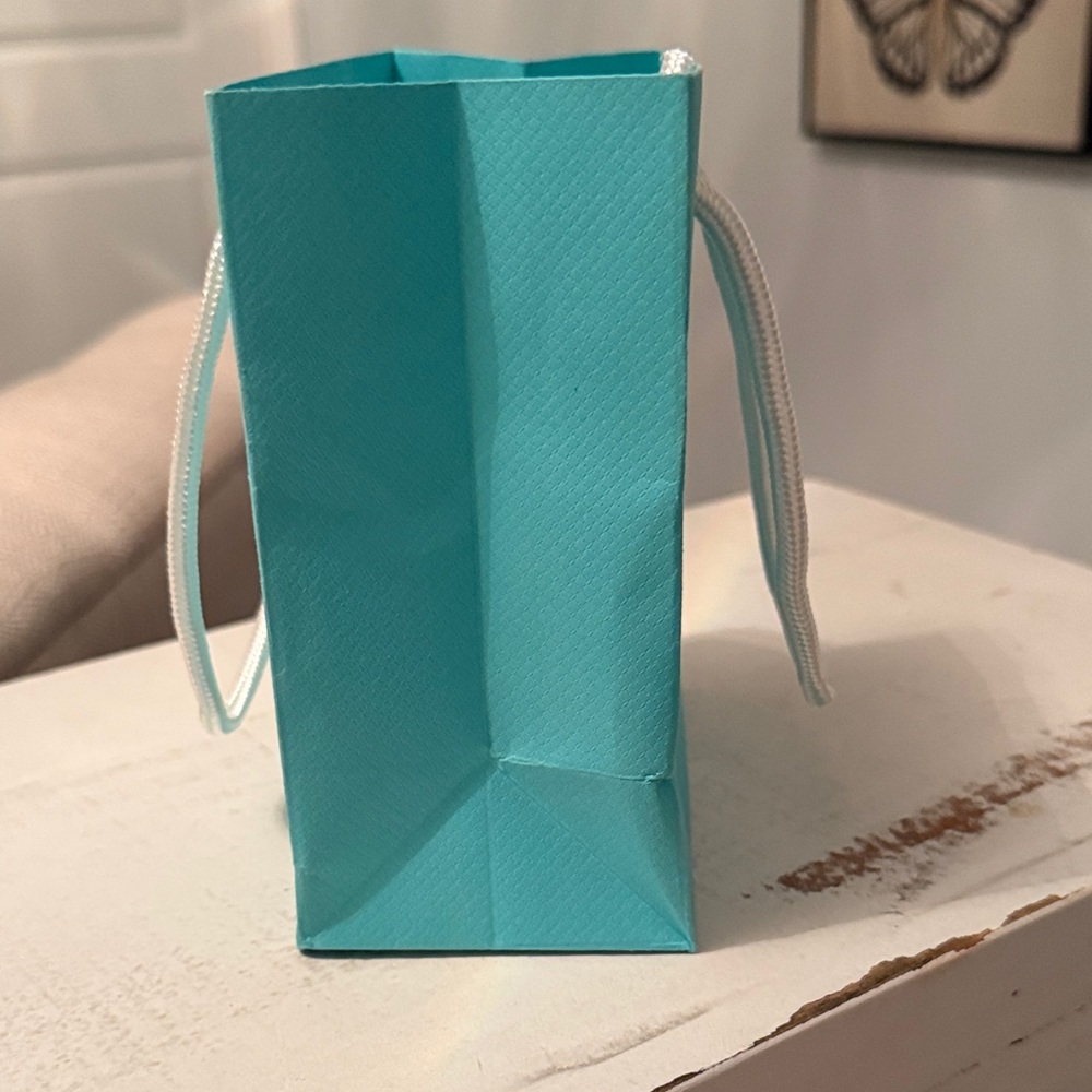 Tiffany & Co. Turquoise Shopping Bag only - Picture 2 of 6